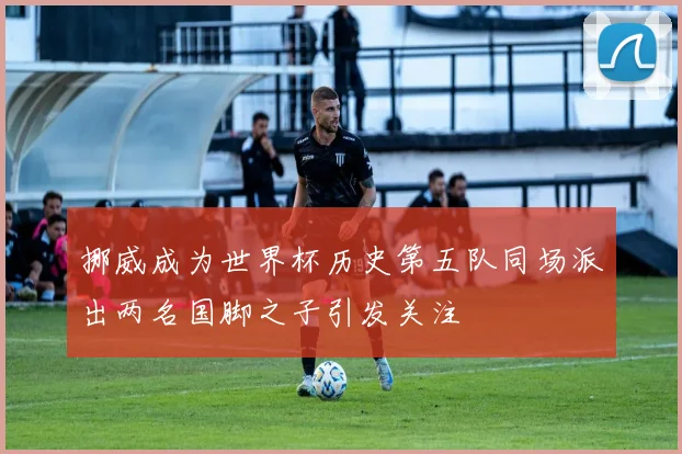 挪威成为世界杯历史第五队同场派出两名国脚之子引发关注